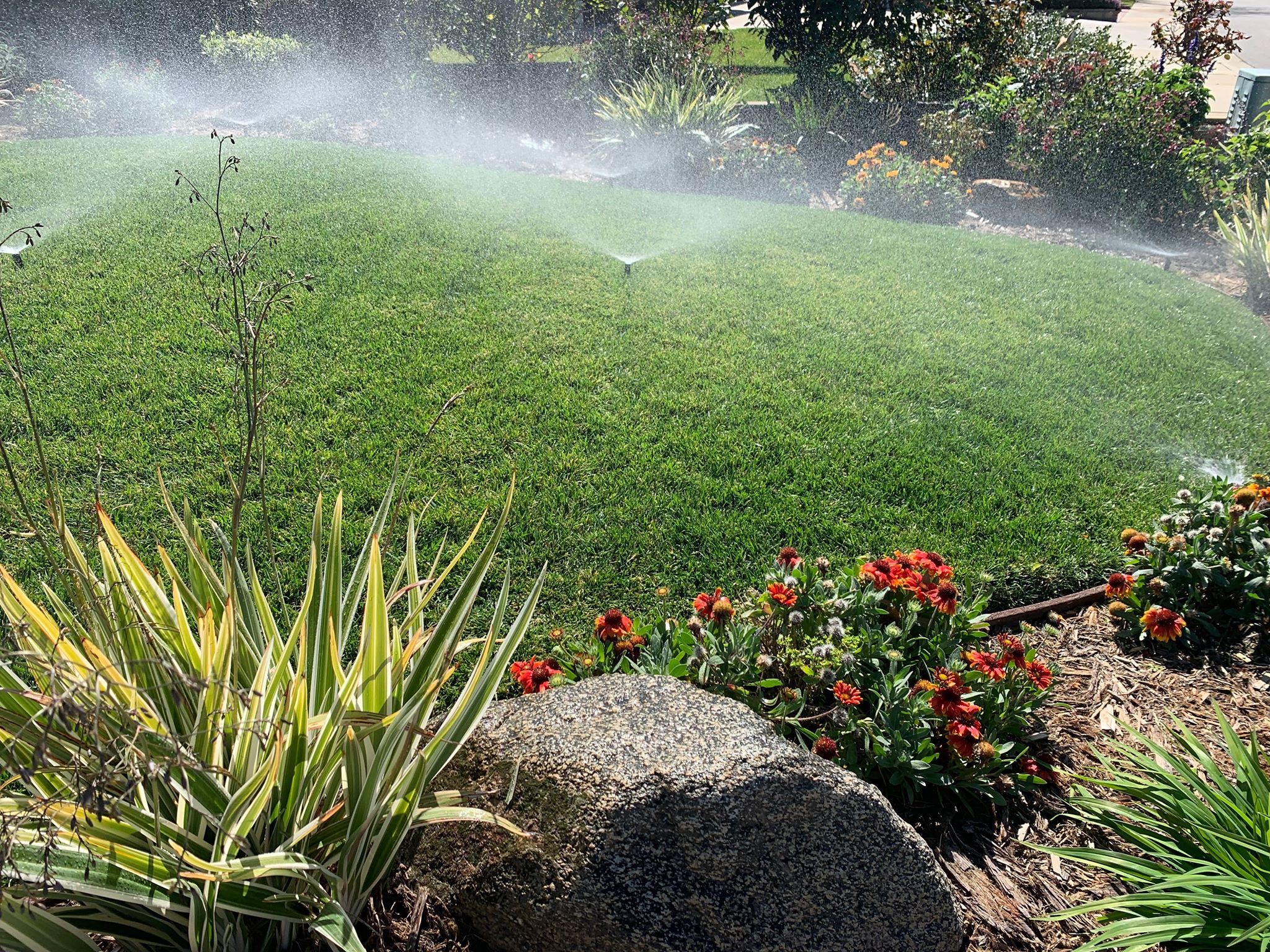 Elacios Gardening & Lanscaping Image